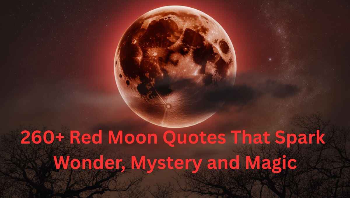 260+ Red Moon Quotes That Spark Wonder, Mystery, and Magic