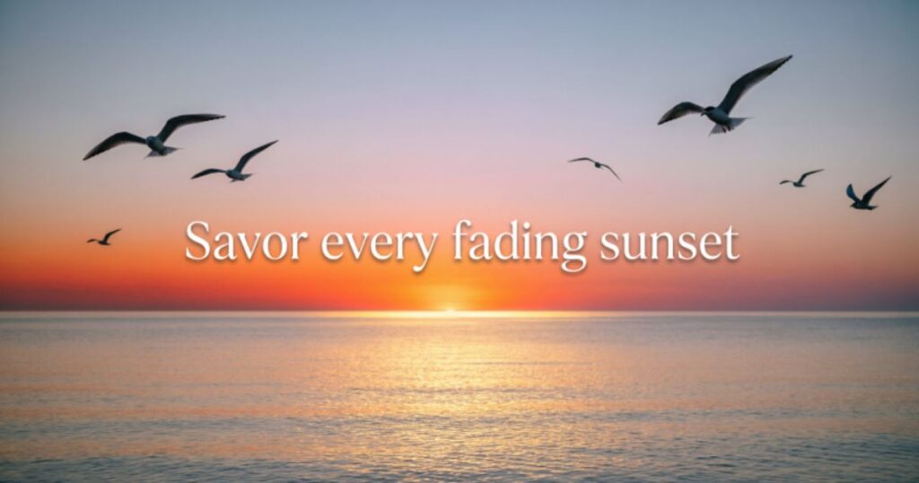 SHORT AUGUST QUOTES FOR THE LAST DAYS OF SUMMER
