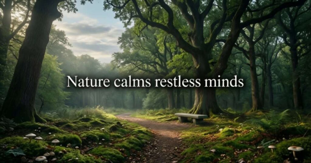 Monday Blessings In Nature
