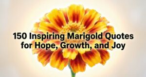 150 Inspiring Marigold Quotes for Hope, Growth, and Joy
