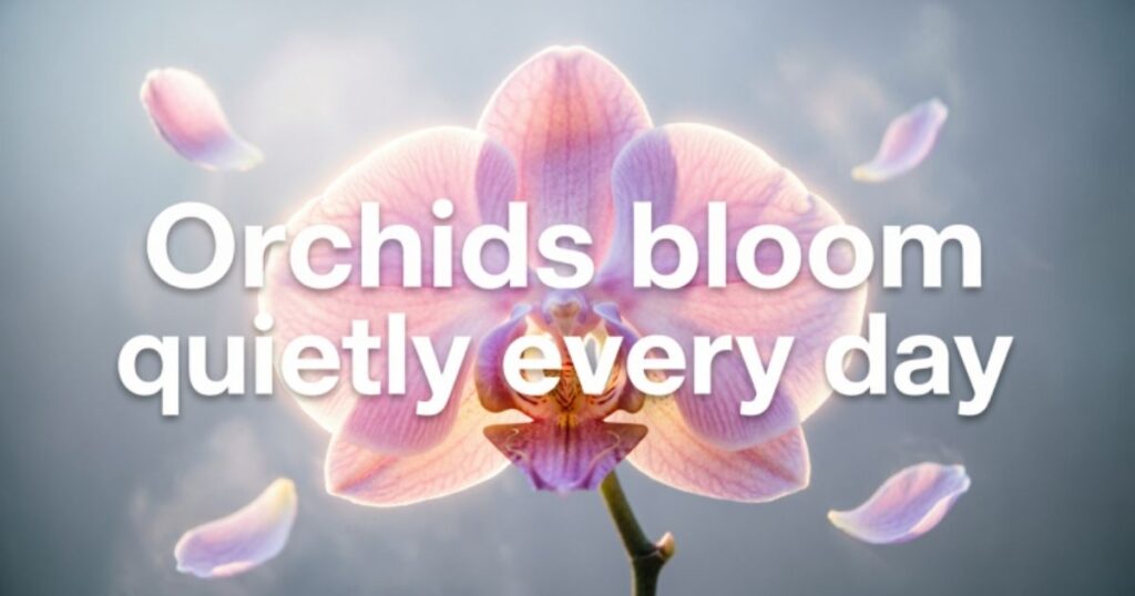 SHORT ORCHID QUOTES